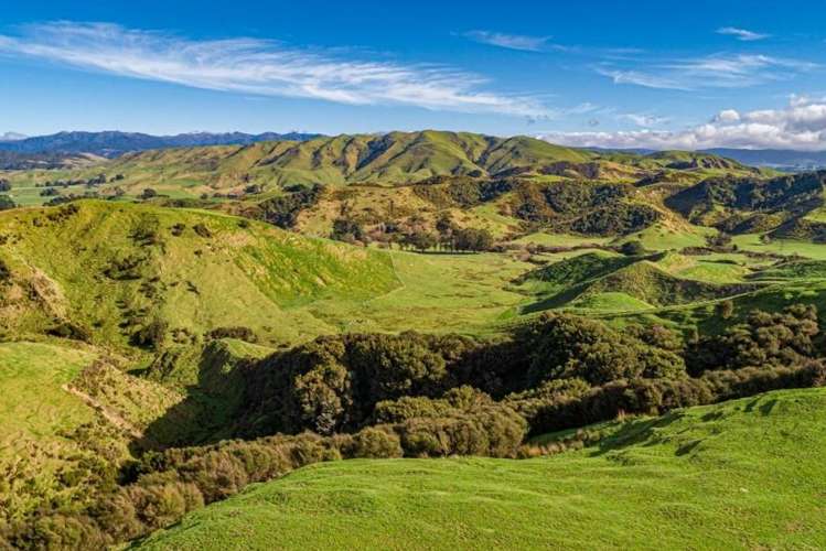 134 Bowen Road Eketahuna_6