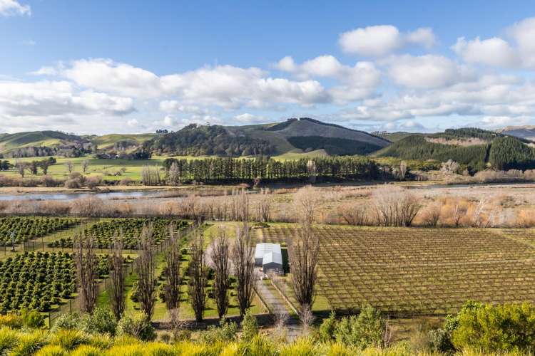 103 Waimarama Road Havelock North_19