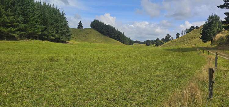 248 Lichenstein Road Okere Falls_25