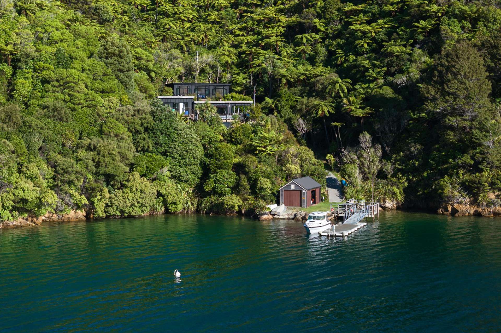 - Blackwood Bay Queen Charlotte Sound_0
