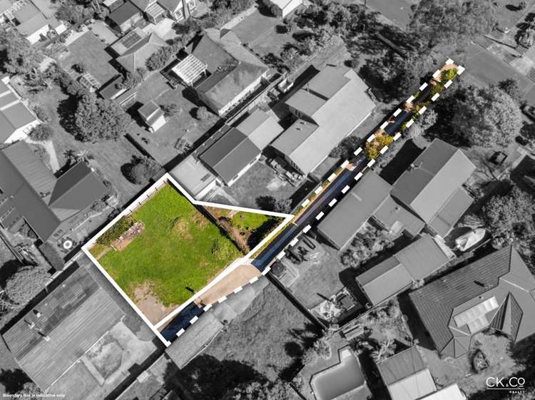 15B Black Beech Birchville_6