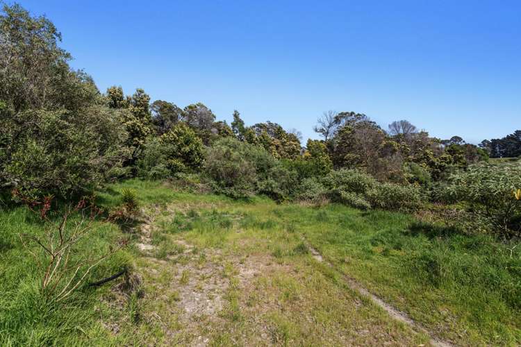 93 Loop Road Ohiwa_8