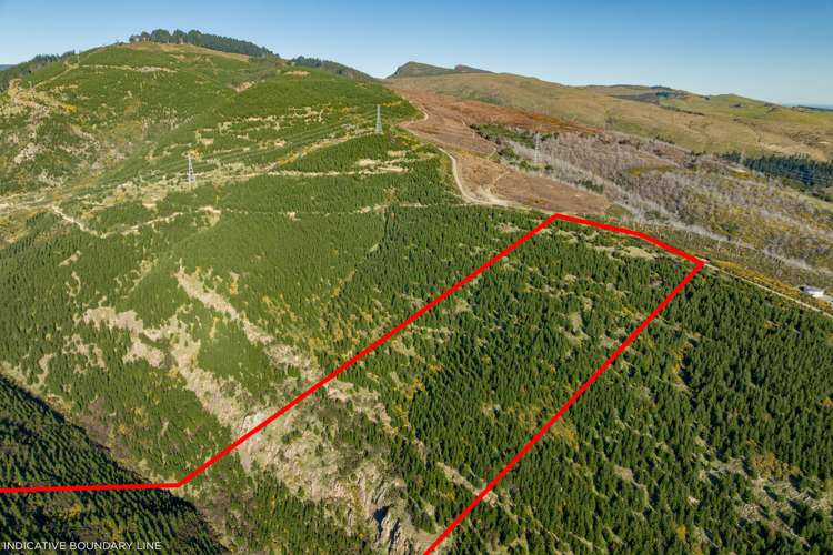 361 Worsleys Road Cashmere_14