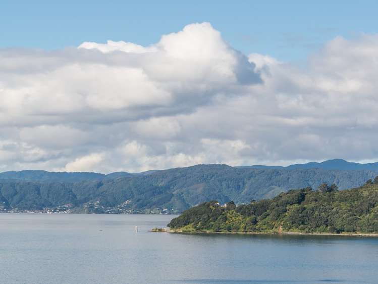 45 Maida Vale Road Roseneath_15