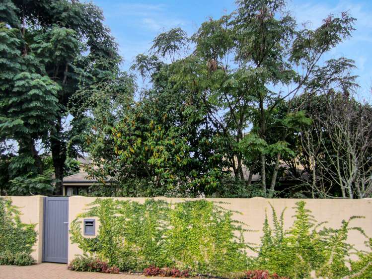 24 Canterbury Park Lane Ellerslie_6