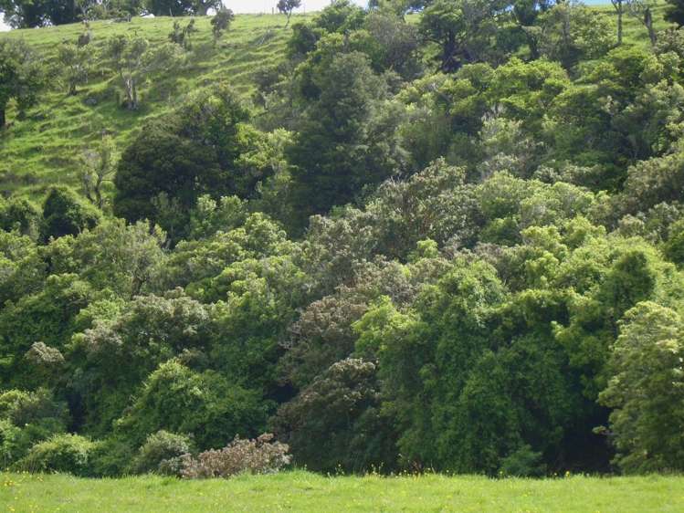 94 Stead Road Evansdale_10