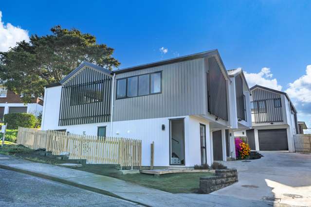 Lot 1/3 Catton Crescent Mount Roskill_3