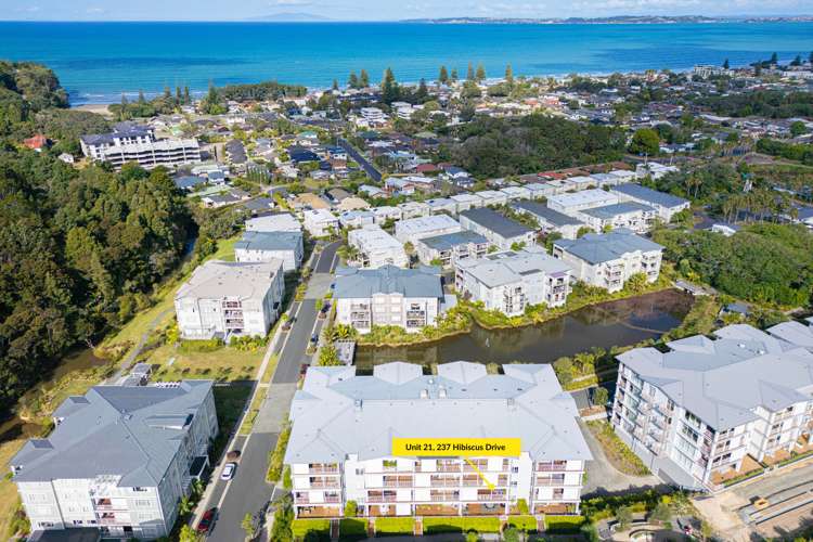 237 Hibiscus Drive Orewa_18