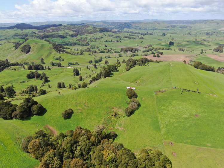 Lot (Rural)/1246 State Highway 3 Piopio_14