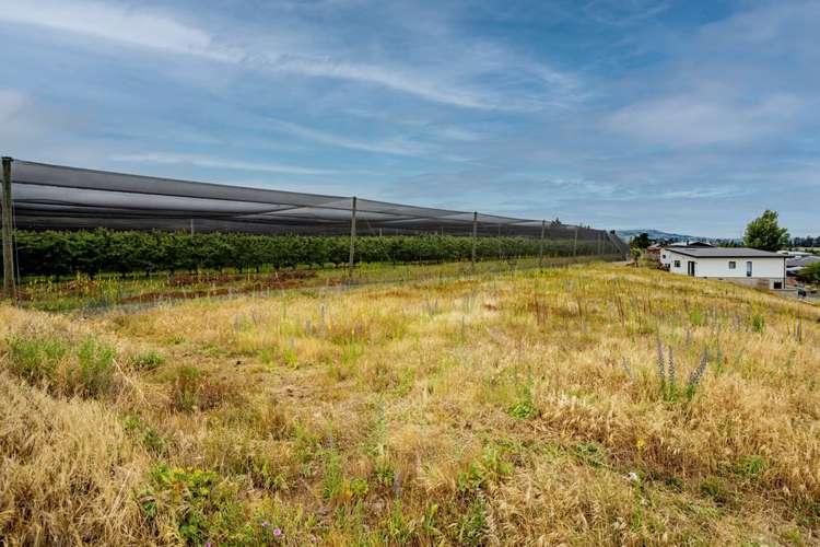 19a Missy Crescent Cromwell_6