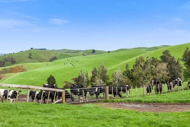 500 Tahuroa Road Tauwhare_24