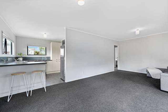 30 Graham Street Hamilton East_2