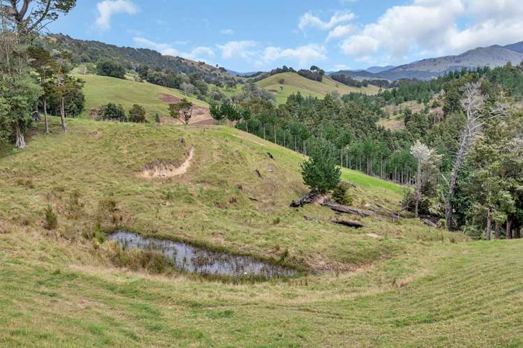 Pipiwai Road Purua_34