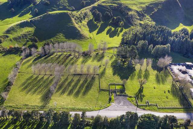 Te Mata Bare Land