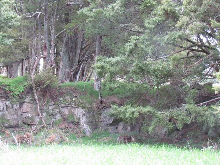 Carruth Road Poroti_7