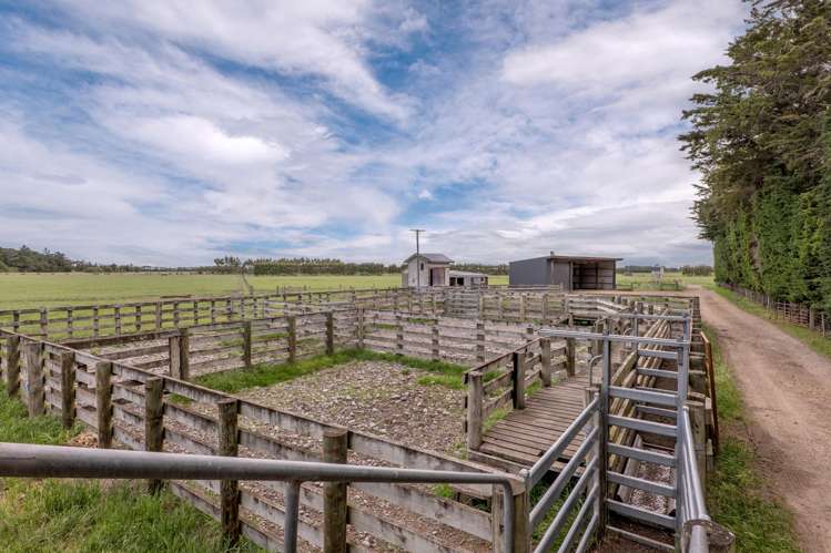 Christchurch Akaroa Road Tai Tapu_6