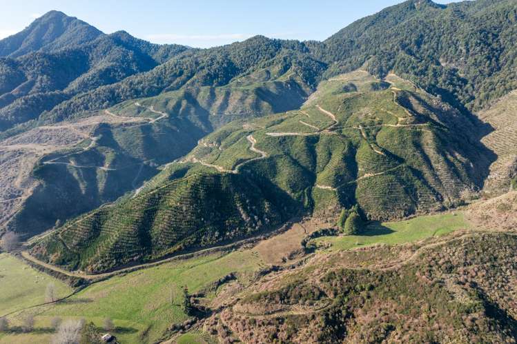 Matakitaki Road Murchison_6