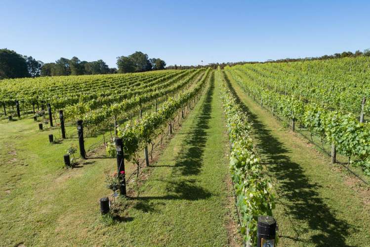 165A Waimate North Road Kerikeri_14