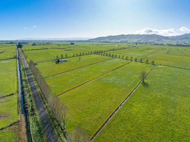 355 Endowment Road Te Aroha_2