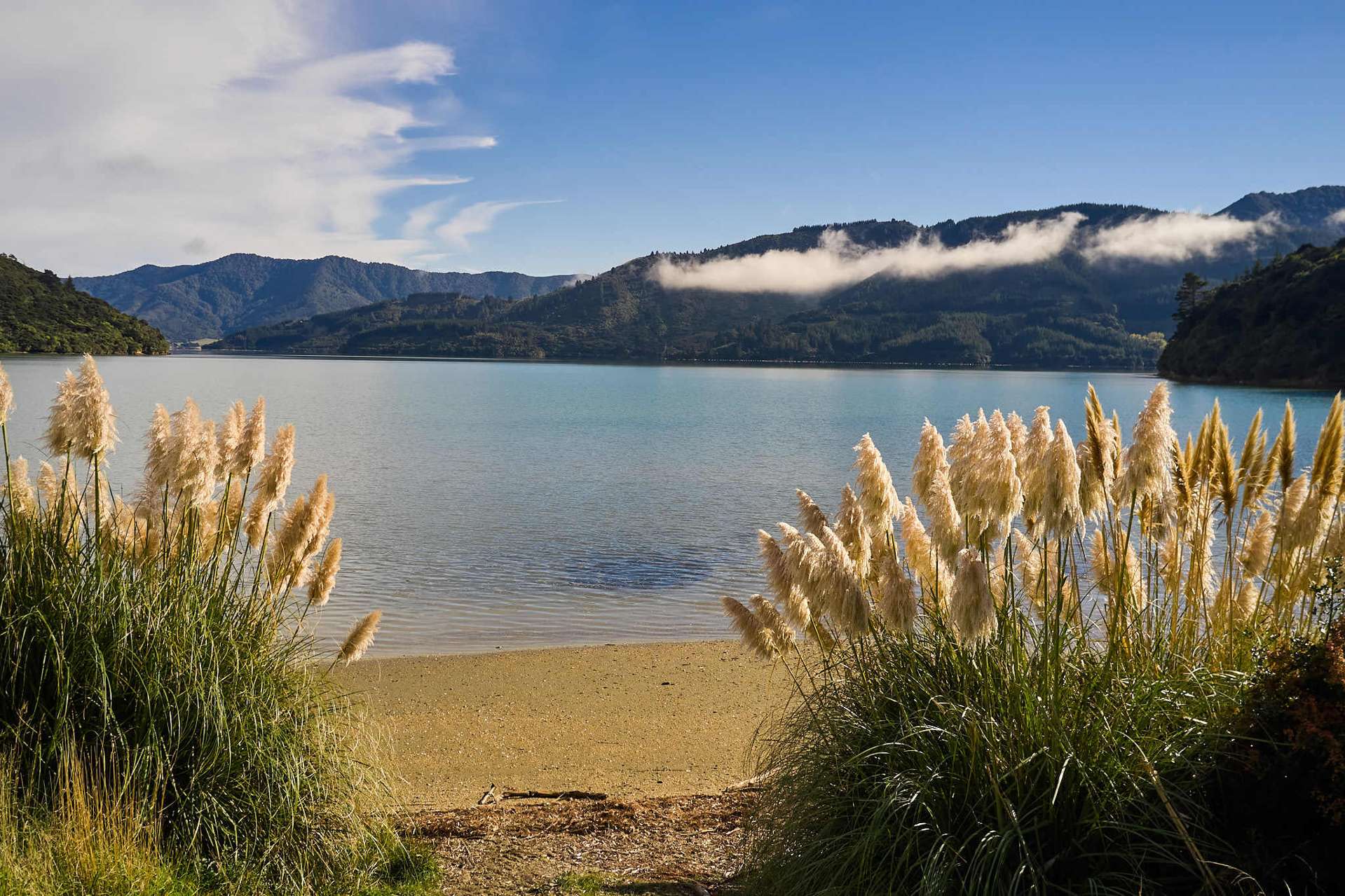 3582 Kenepuru Road Kenepuru Sound_0