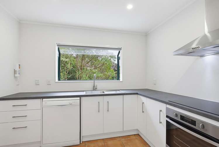 12 & 12A Wairaka Road_5