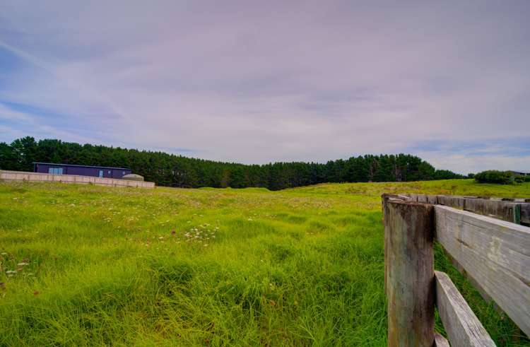 Morrison Road Kawhia_3