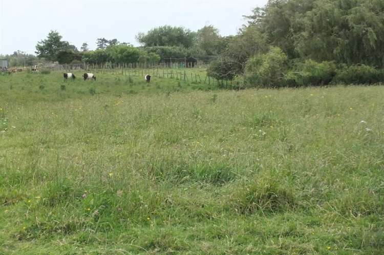 41 Buller Road Levin_18