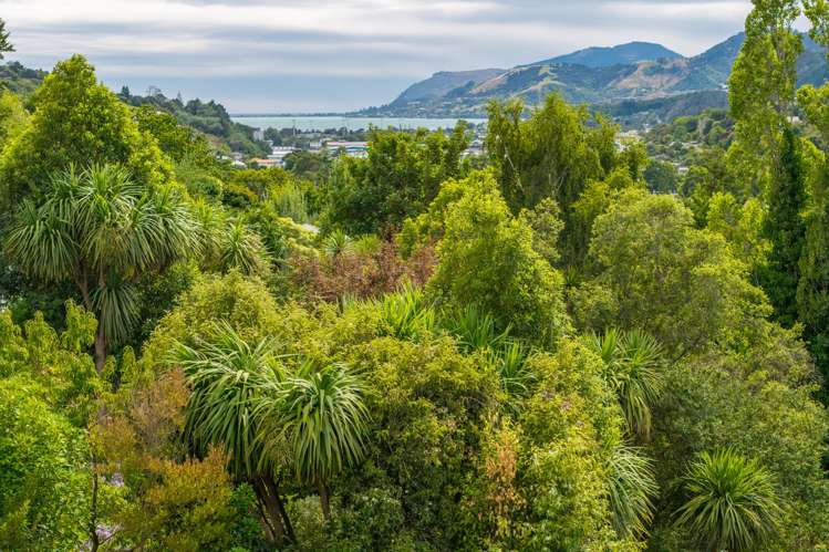 243 Saint Vincent Street Toi Toi_6