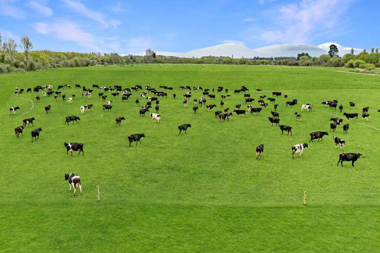 1375 Ashburton Staveley Road Ashburton Forks_5