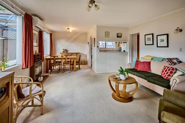 11A Copeland Street Hutt Central_3