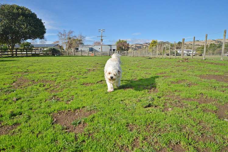 442 Te Whiti Road Masterton_26