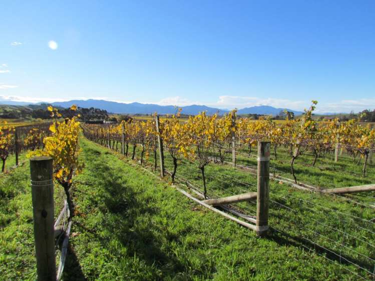 147 Wrekin Road Fairhall_8