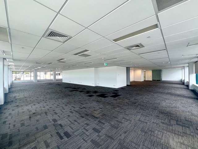 101 Carlton Gore Road Newmarket_2