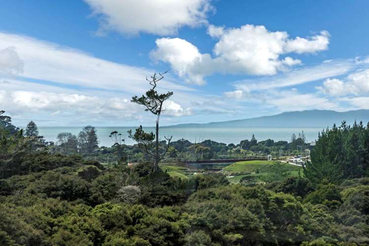 82 Vaughans Road Long Bay_14