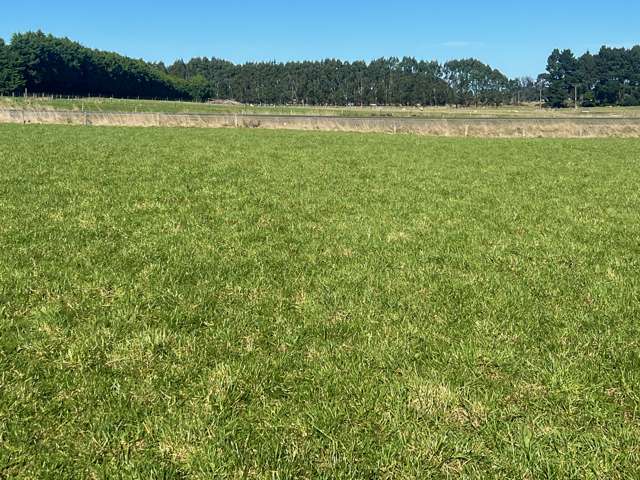 31 Mason Road Seaward Bush_4