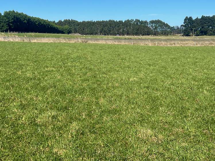 31 Mason Road Seaward Bush_4