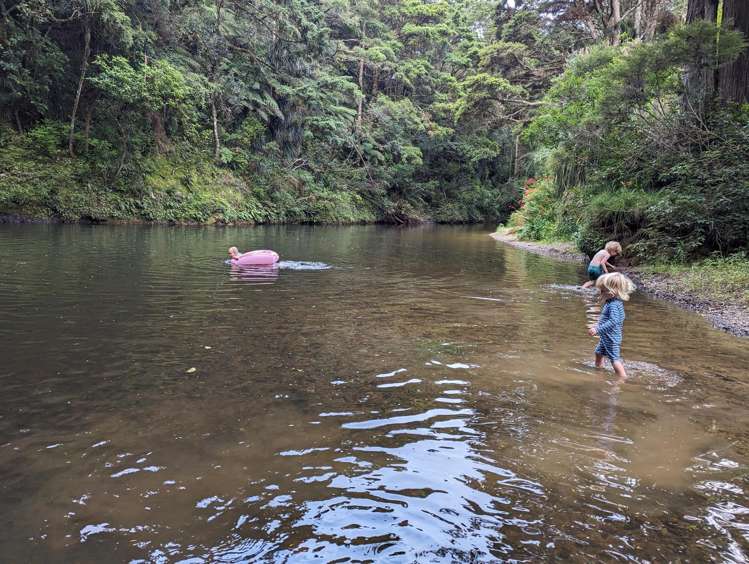 726d Ngunguru Ford Road Kiripaka_22