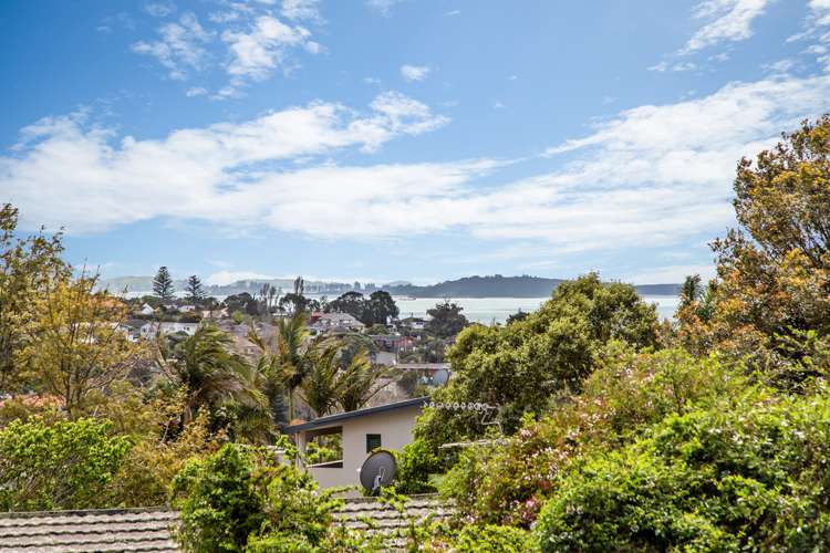 41 Ridge Road Howick_4