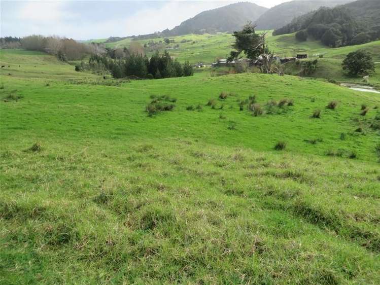 278 Mountain Road Maungaturoto_12