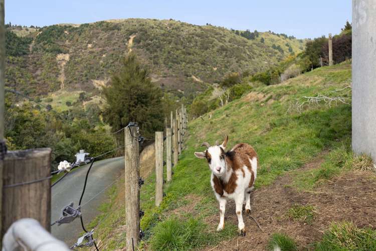 68 Rayners Road Hira_16