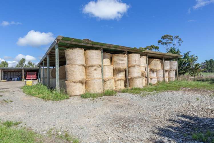 359 Hurunui Mouth Road Domett_39