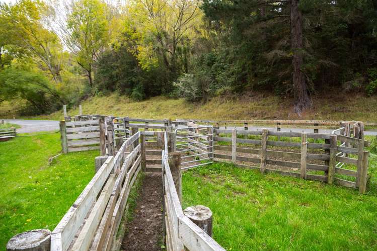 3160 Masterton Castlepoint Road Mangapakeha_20