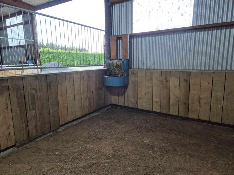 656a Ryal Bush Wallacetown Road Wallacetown_22