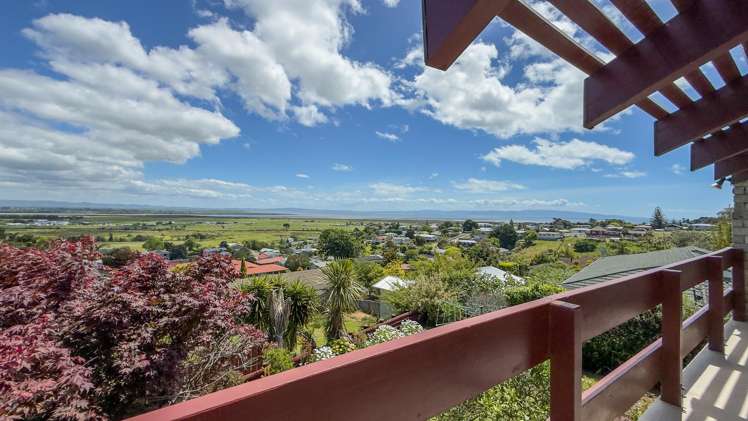 222 Reservoir Road Thames_11