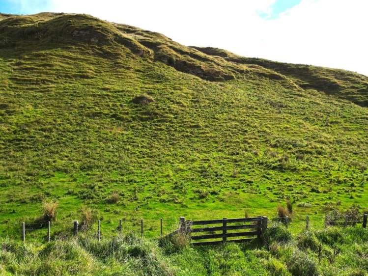 40 Totara Road Awapuni_9