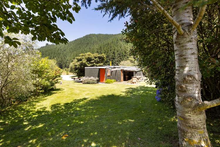 188 Mount Riley Road Havelock_37