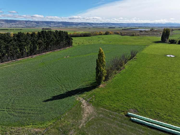 315 Patearoa Ranfurly Road Patearoa_20