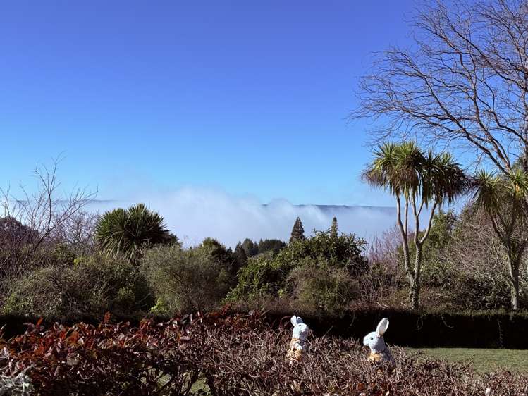 14 Glen Mohr Acacia Bay_35