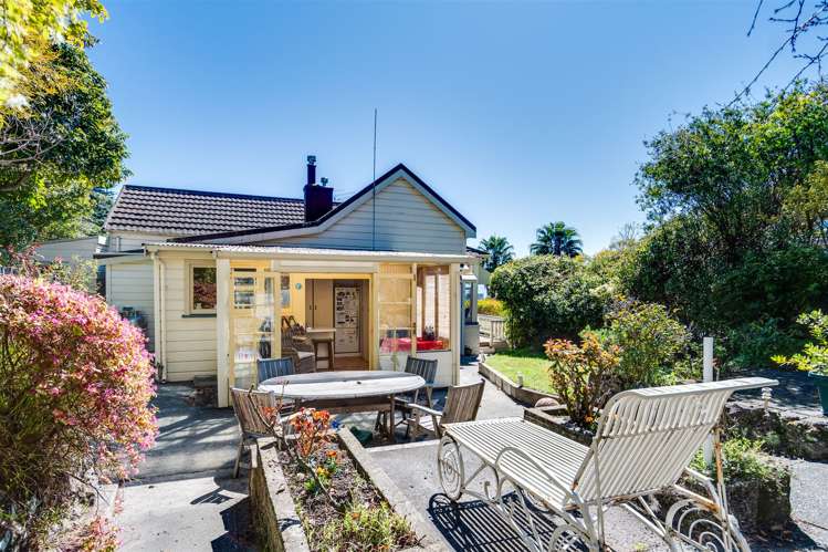 21 Hornsey Road Bluff Hill_25