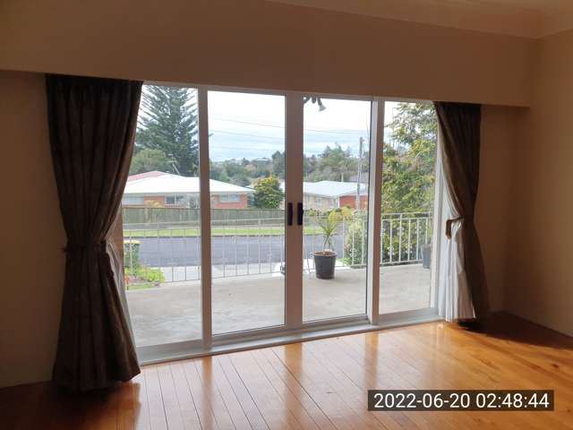 3 Grierson Place Pukekohe_4